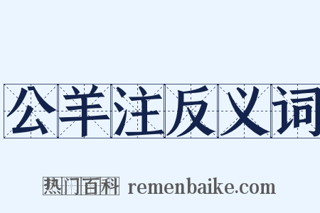 公羊注反义词是什么意思的图片